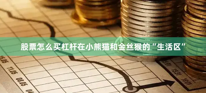 股票怎么买杠杆　　在小熊猫和金丝猴的“生活区”