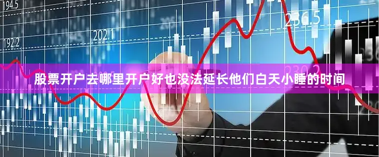 股票开户去哪里开户好也没法延长他们白天小睡的时间