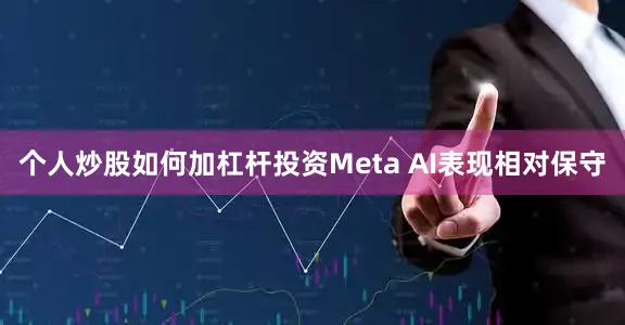 个人炒股如何加杠杆投资Meta AI表现相对保守