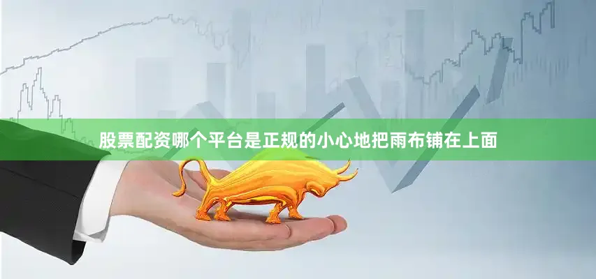 股票配资哪个平台是正规的小心地把雨布铺在上面