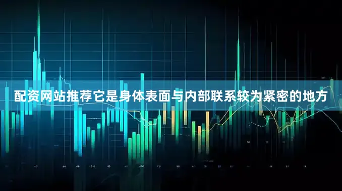 配资网站推荐它是身体表面与内部联系较为紧密的地方